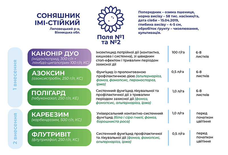 Технологія вирощування ІМІ-стійкого соняшнику в ФГ Україна